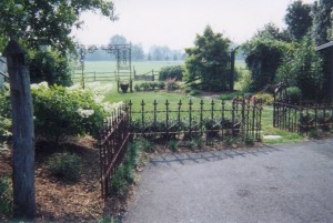 Wrought Iron Fence and Landscape